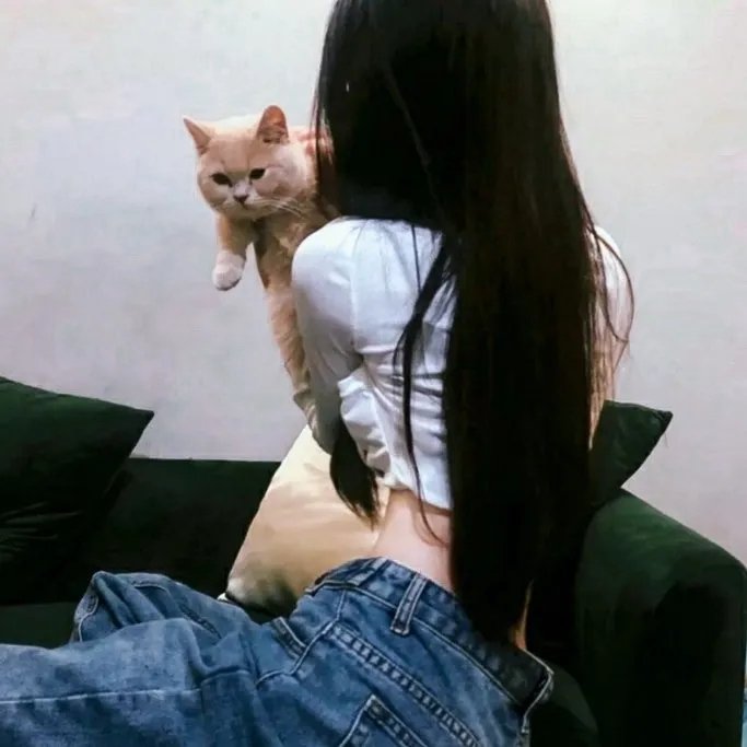 脱线家族